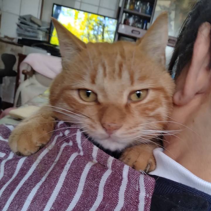 9b229bca 7006 4956 941e ace317ea173e 1667371930084