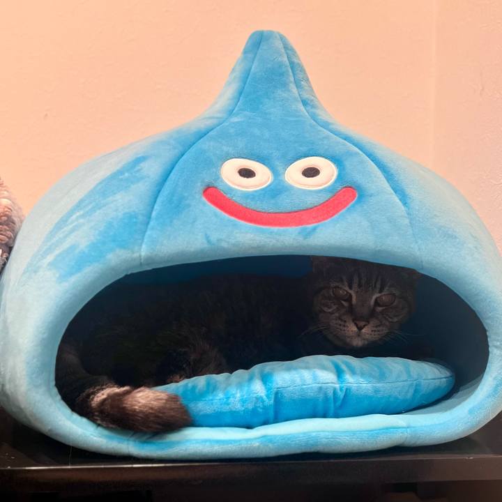 9b22a0d2 9659 4ebd a5ab 6f13bec2b58a 1762870392069