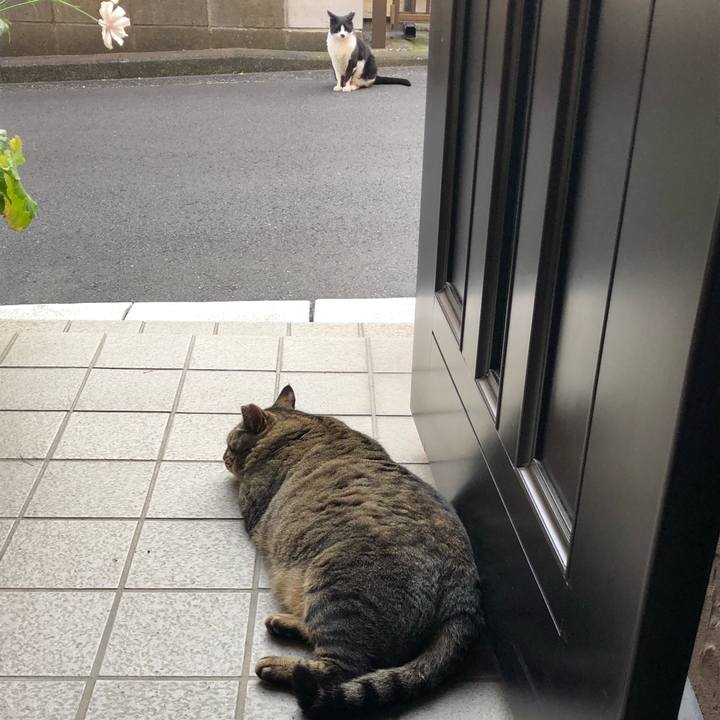 9b22ac03 ac76 4e6b b3f3 e5634c14ee28 1524301427207