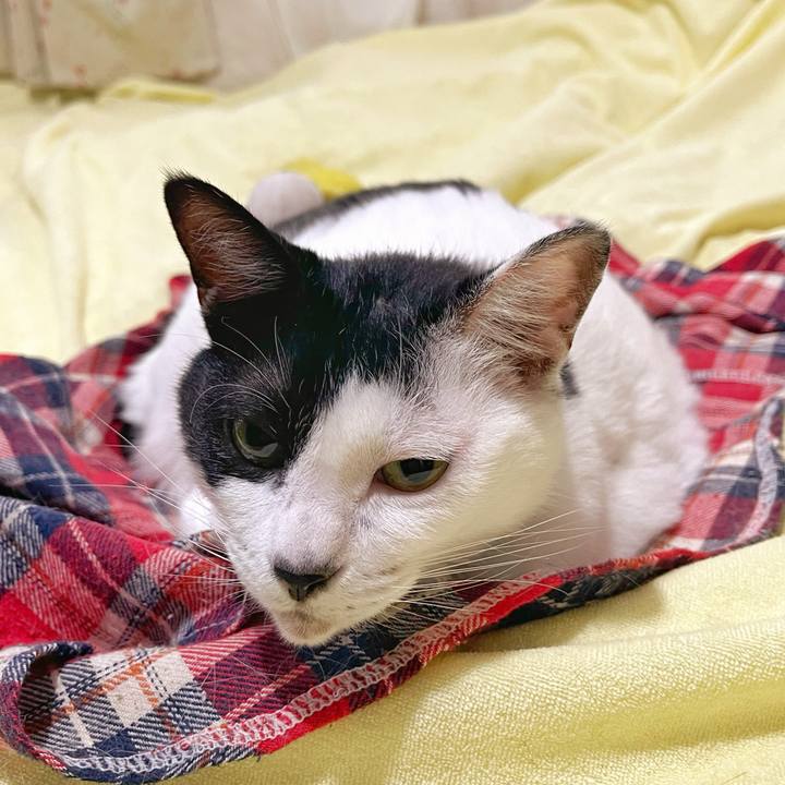 9b22bf79 e725 4328 9c85 b6c5a505d2ac 1760049903898