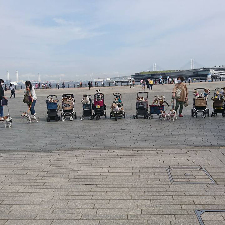 9b22d4e6 3348 4c5e b823 959f626c62db 1601795251153