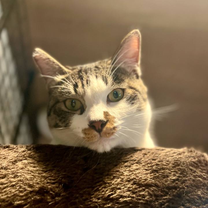 9b232c94 5424 4581 a070 7b07ba13330a 1760707143026