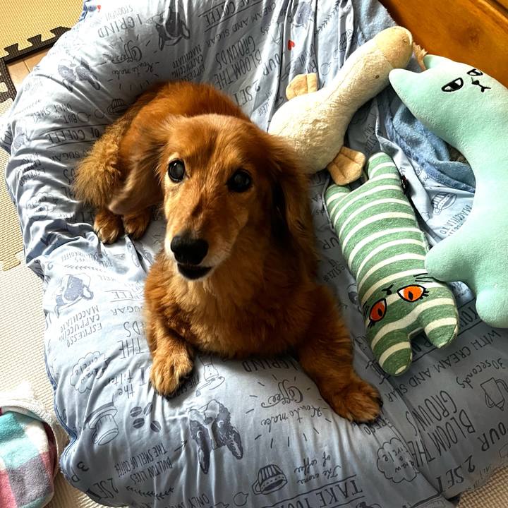 9b235e09 a632 4a29 a0a5 6c8b6abf8641 1654437504404