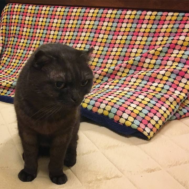 9b236cec 48cf 450b 85b2 9e8060194261 1523202947534