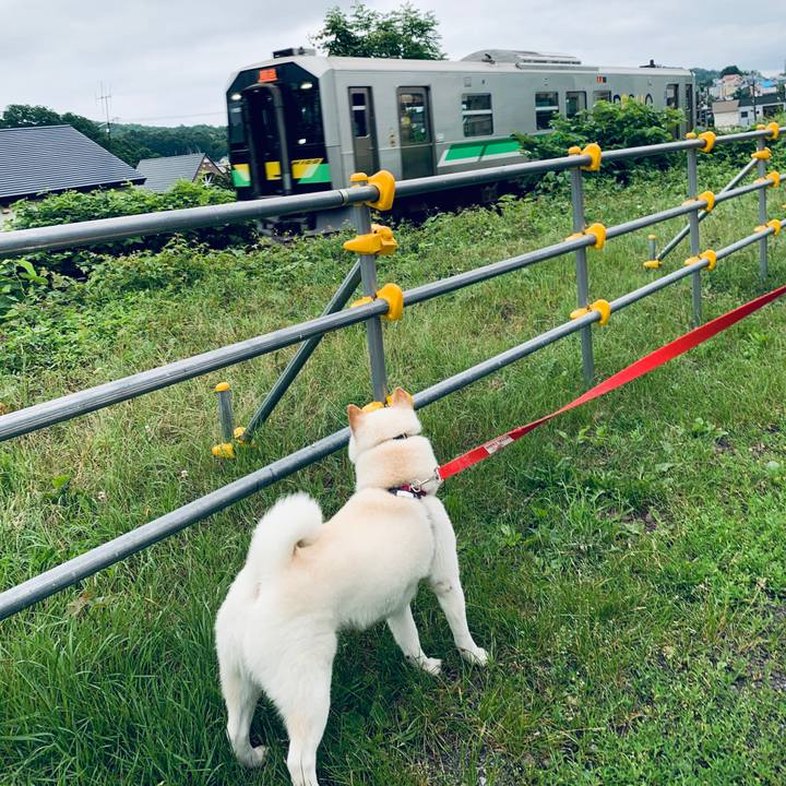 9b237166 cdfc 4967 8ae3 5a658fd974ae 1594414552514