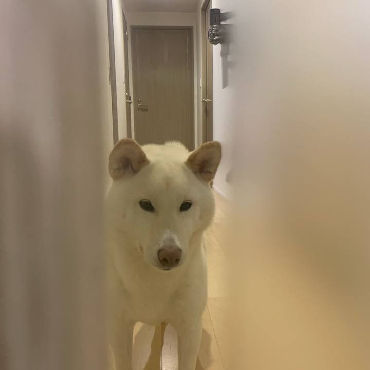 9b2371fe c1e3 4aa2 90a2 d22fea69d5f8 1575946806054