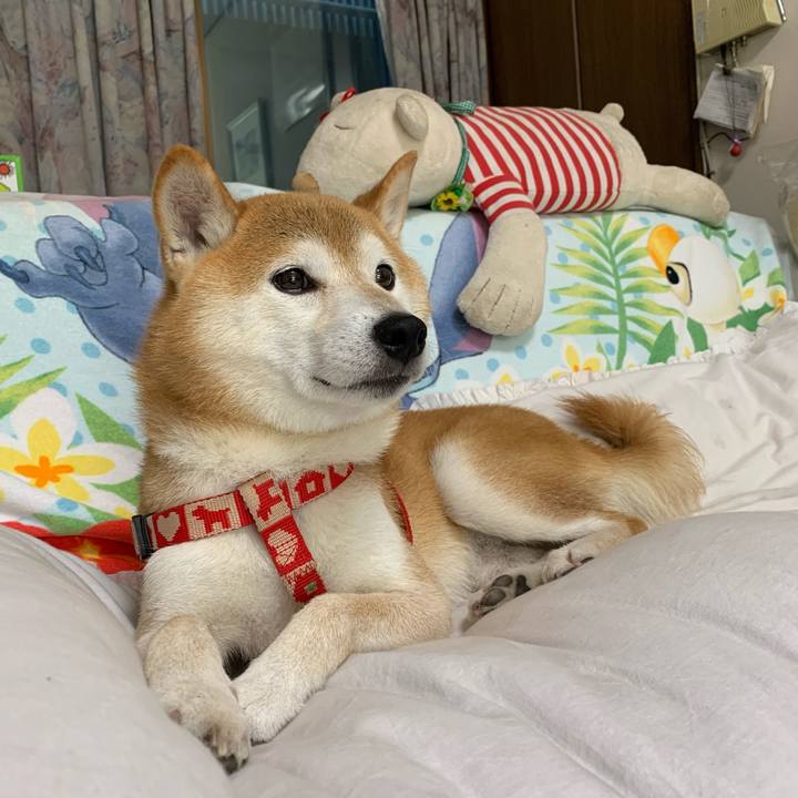 9b237207 5766 4bac 9185 e3b40a1633d7 1634809920656