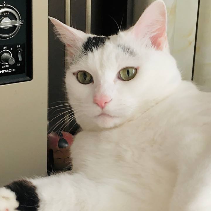 9b23ad87 6649 48bd 8bfb b3963ba77ce2 1575529365101