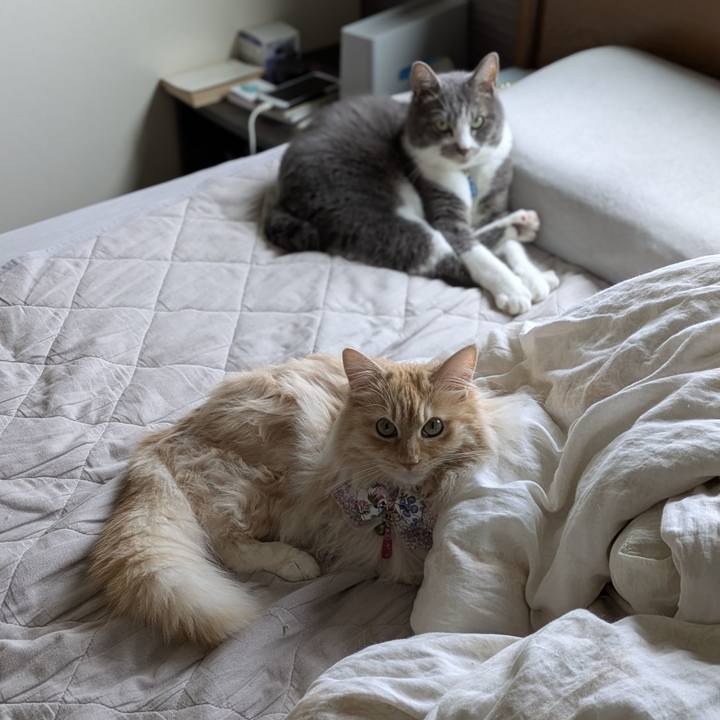 9b23b0fe 6240 4b11 9eee 472fb73d2d89 1751764155336