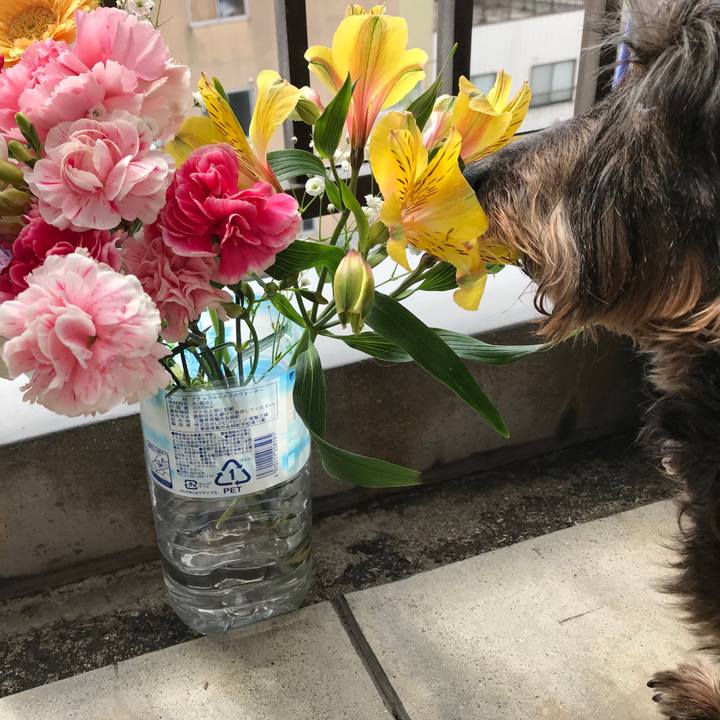 9b23d265 4d81 43d8 8829 5fda4d96dc1d 1521338114066