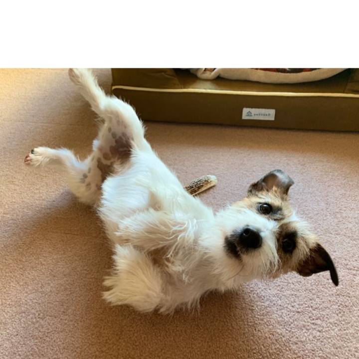 9b241b78 5219 4711 a29b e2b95515b241 1585091565176