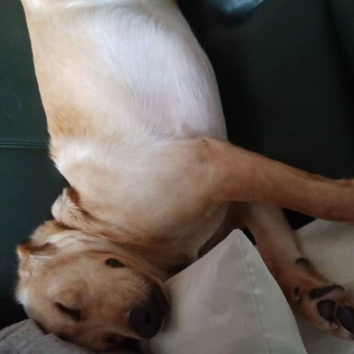 9b24425c 449a 4eda a535 a333fdc5e2b0 1510619130060