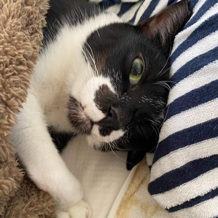 9b245759 527c 420f 99d3 33d0eb527ca1 1670936146813