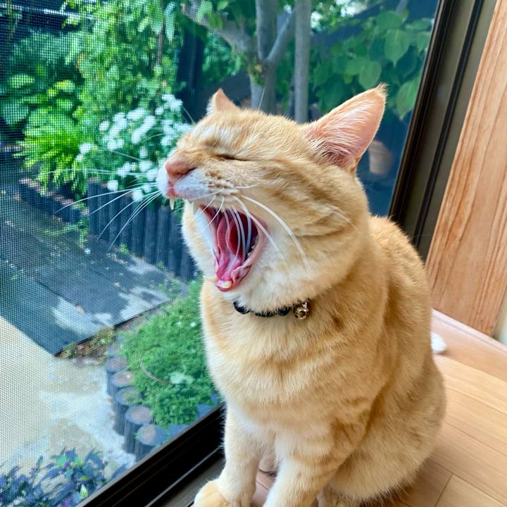 9b247d2e dde7 474a b0a1 fc75df256c28 1759101340634