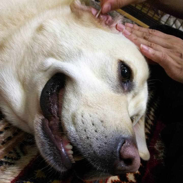 9b24a60c 01e7 4daa 8d45 a350816a97c5 1567510420098