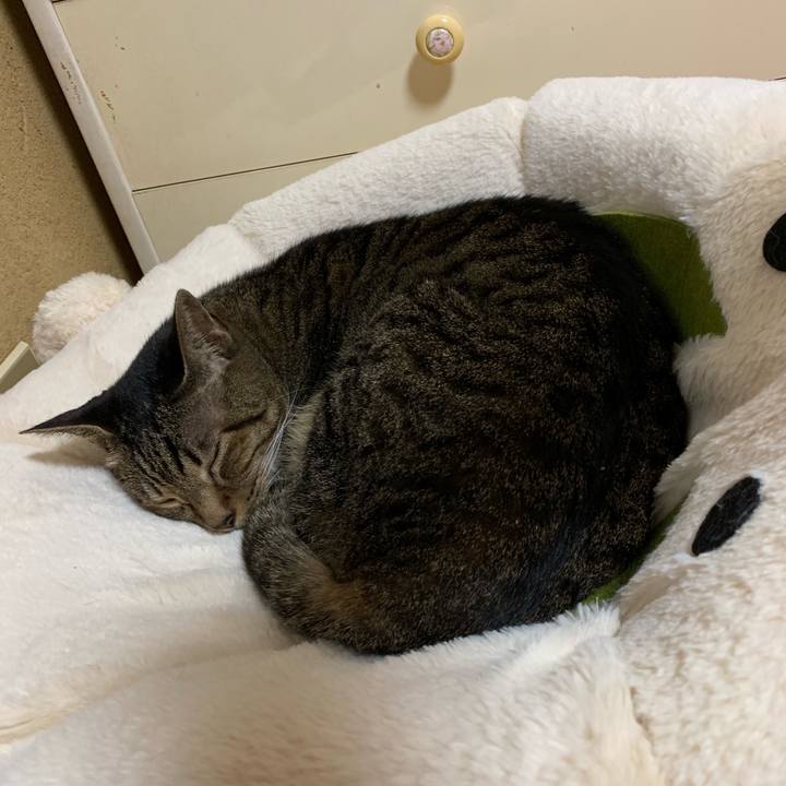 9b24a77d c36c 4de4 9679 abb13e7cfca4 1540346528871