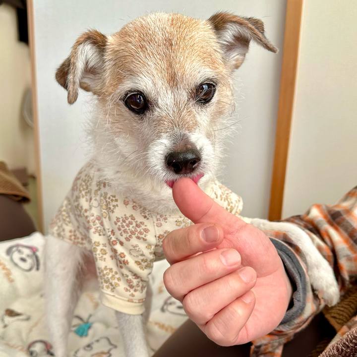 9b24d4b1 fe4f 47ce a0a6 29b603ac44da 1707729908492