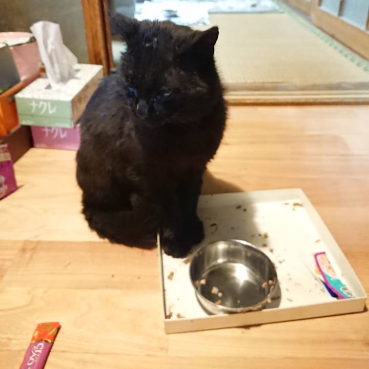 9b2520b1 8d7c 4e22 8b2c c035c94a2fdb 1621953141082