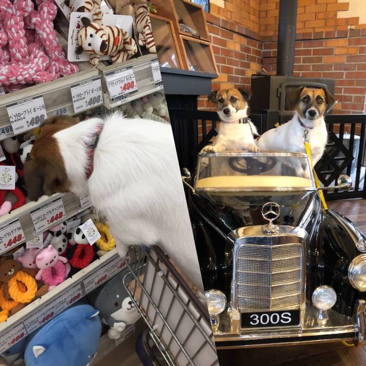 9b256b30 dc0d 4e54 a73a 1c0cf92bc8de 1556618721253