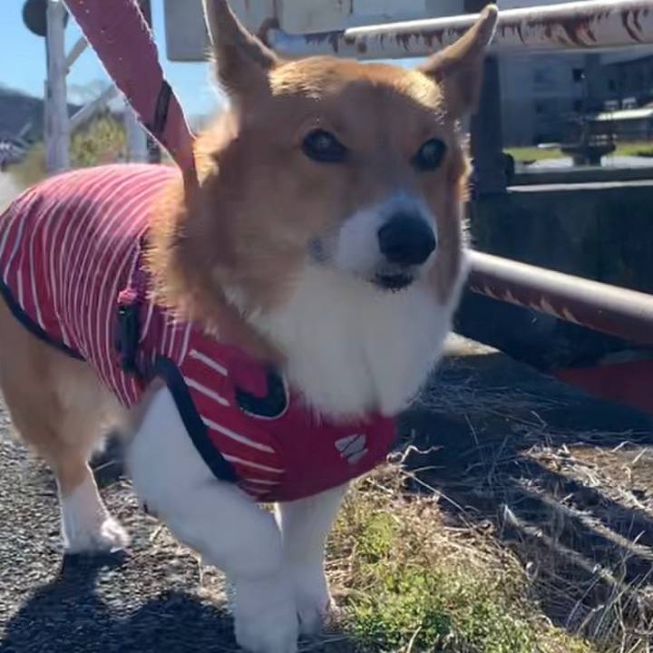 9b25992b 2b1c 44fc bc88 51e9fc337f72 1672114547429