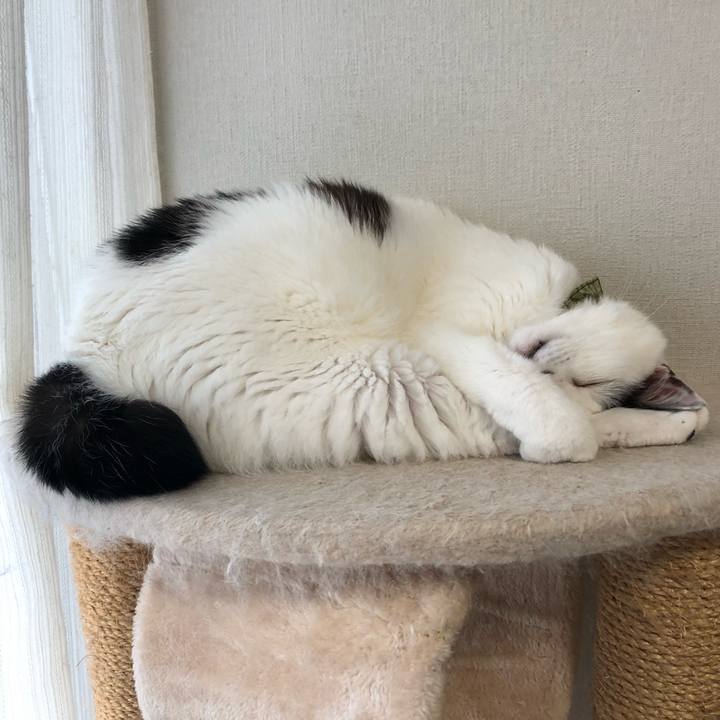 9b259d9f 1446 46dc a702 61b712c012f0 1563176985869