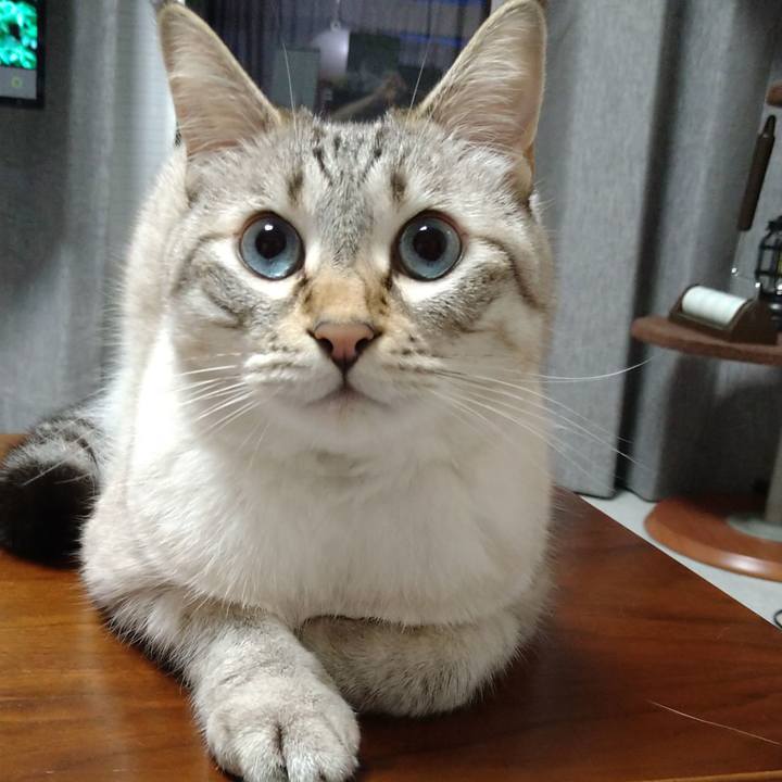 9b25e762 439c 40bf a46f b547461cd68e 1628762158623