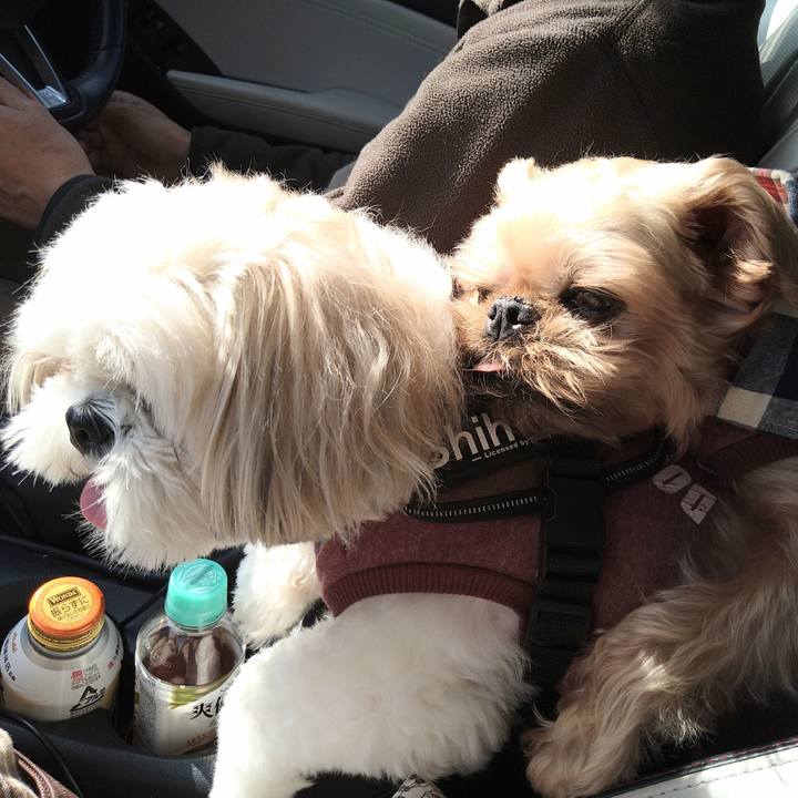 9b260efd 6d1e 4800 ba11 6a09ee4ae893 1637975992866