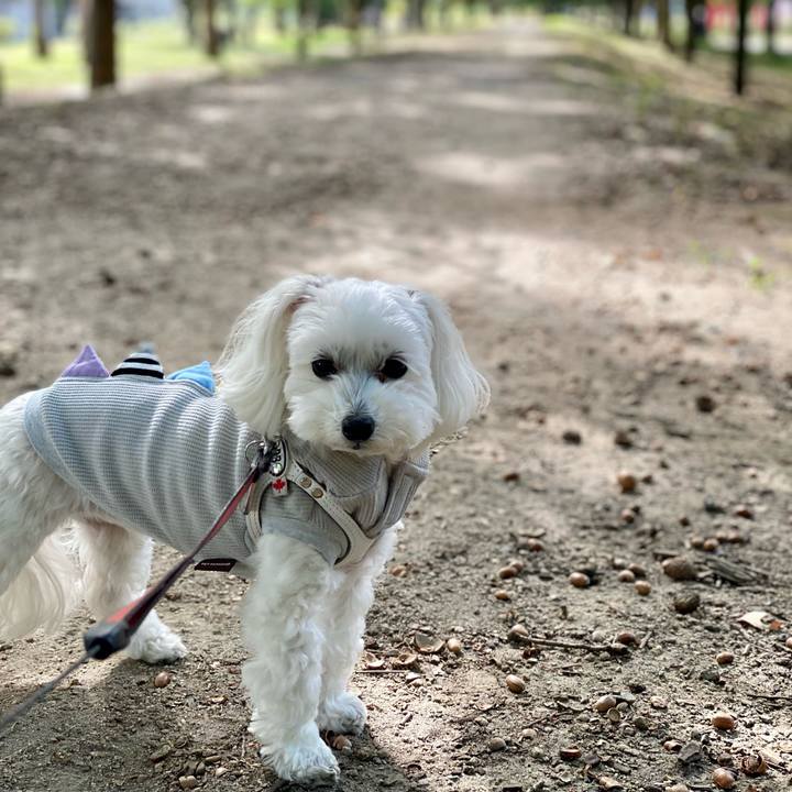 9b261a50 89fd 4598 a1e2 e5594e858d14 1666870768518