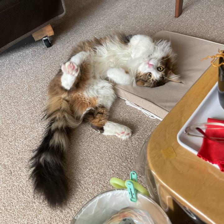 9b2664c4 514c 410c bf48 fc97dd5b8ca2 1644646609842