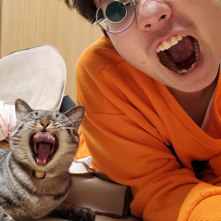 9b2695a8 9c20 4d63 9886 ae29d69a2db1 1701609247120