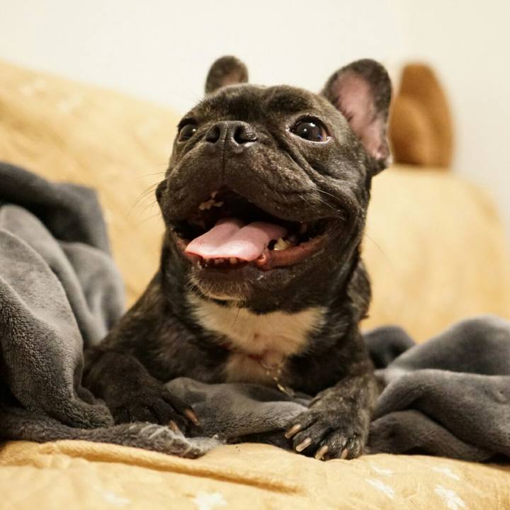 9b26c237 76f0 41b3 964b d839d933a7ef 1510833756263