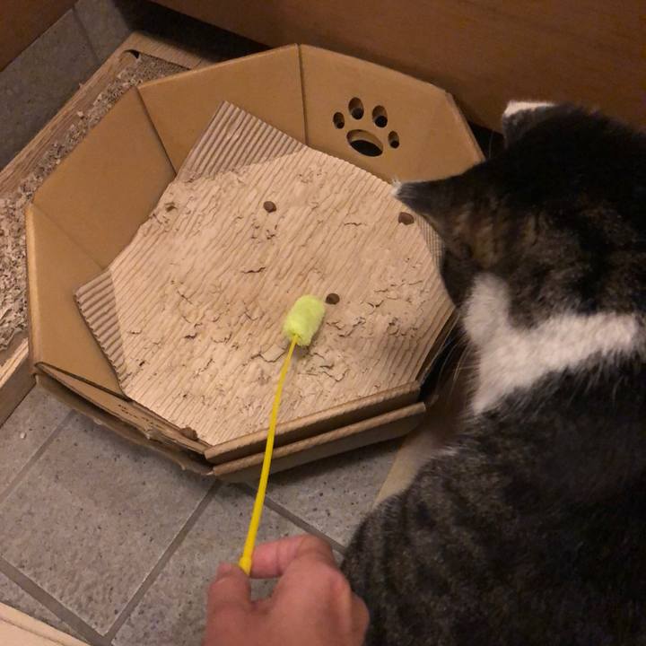 9b26cdb2 e6e5 4212 9fe5 f4a12553ef63 1583579440169