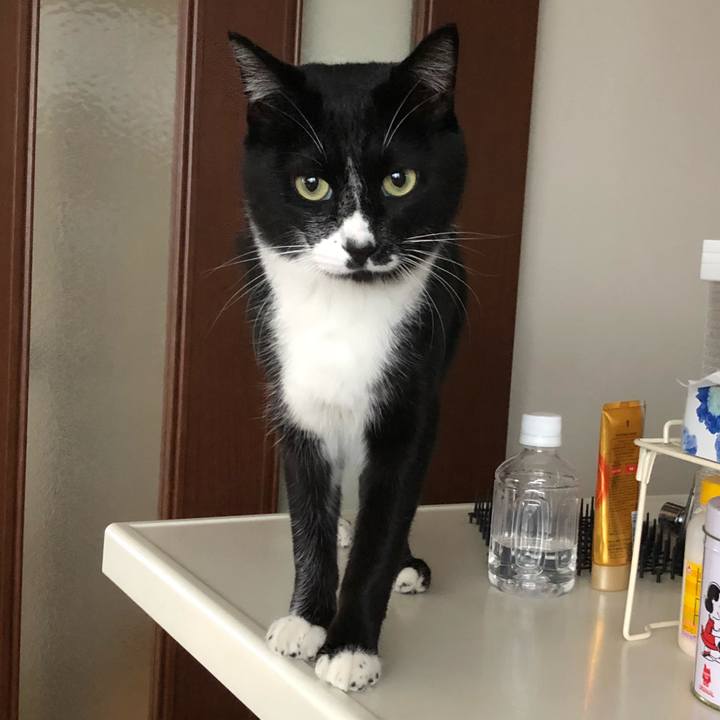 9b26e0e0 03e2 4704 9ba8 e2ce06cc9a0d 1542258602172