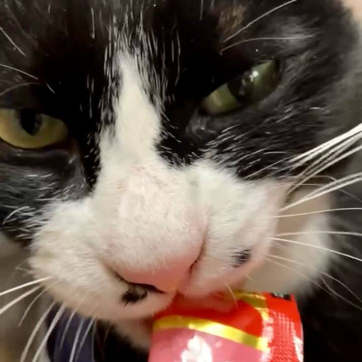 9b271475 6d2b 494d 8fb7 201189353c39 1742521837182