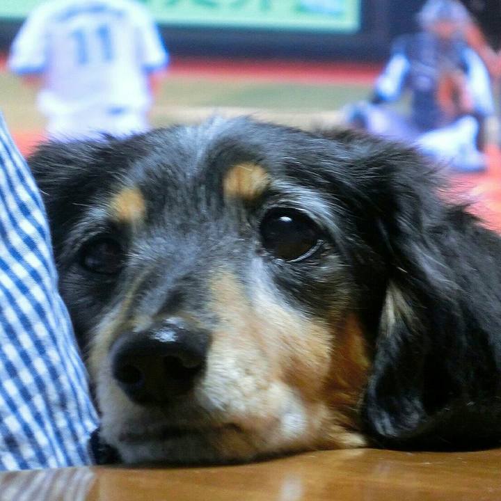 9b272eb1 5043 43d7 9181 8a6efe893b11 1529239751657