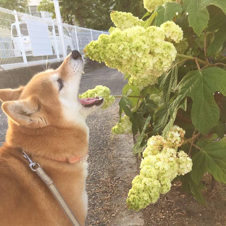 9b27380a e6fc 40f9 9c3f 38a1348dcee1 1558520455317