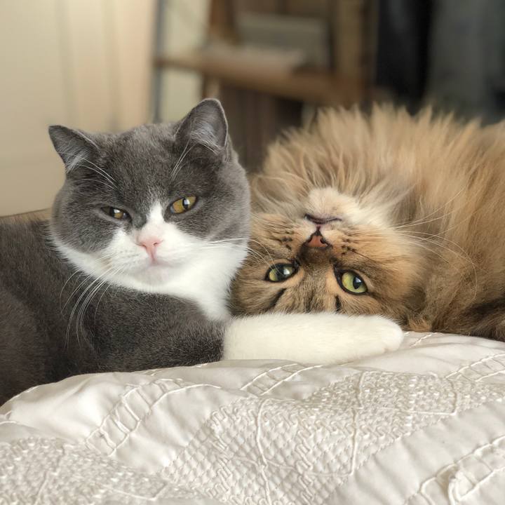 9b2759d6 891f 4ef8 981e 7831bd464018 1516060444747