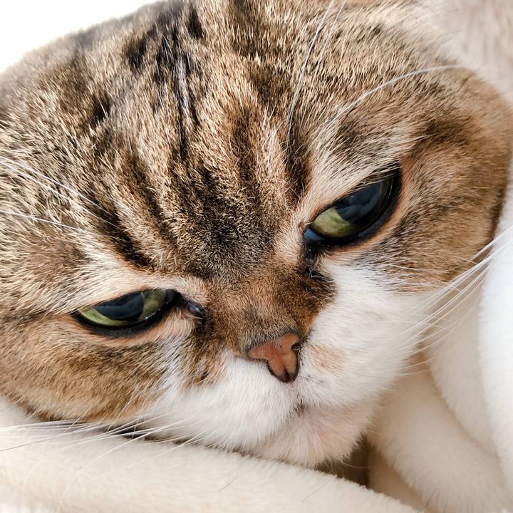 9b275c0c c569 4981 abe2 b063af1c8f0a 1578196180755