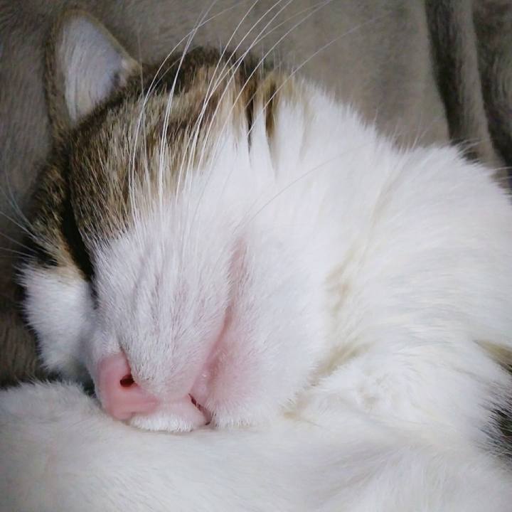 9b276125 c052 41cb 8e99 513f5e1cdce4 1548942371322