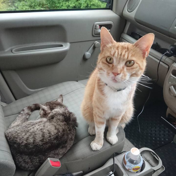 9b279381 13d1 4e81 9f63 40d064dd242b 1592121726853