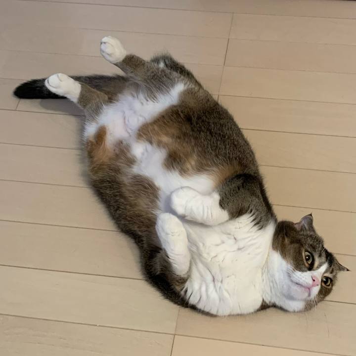 9b27c02a bd38 4f59 8fe4 27a9b0489509 1571613320534