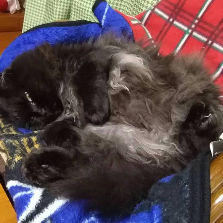 9b27c82e bacb 49b7 910d 9bb586868e65 1509369016133