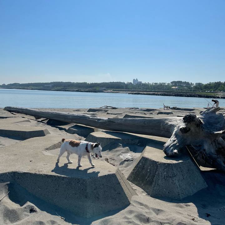 9b28208e 6faf 428e b173 29a6ebb1ba13 1623283361851