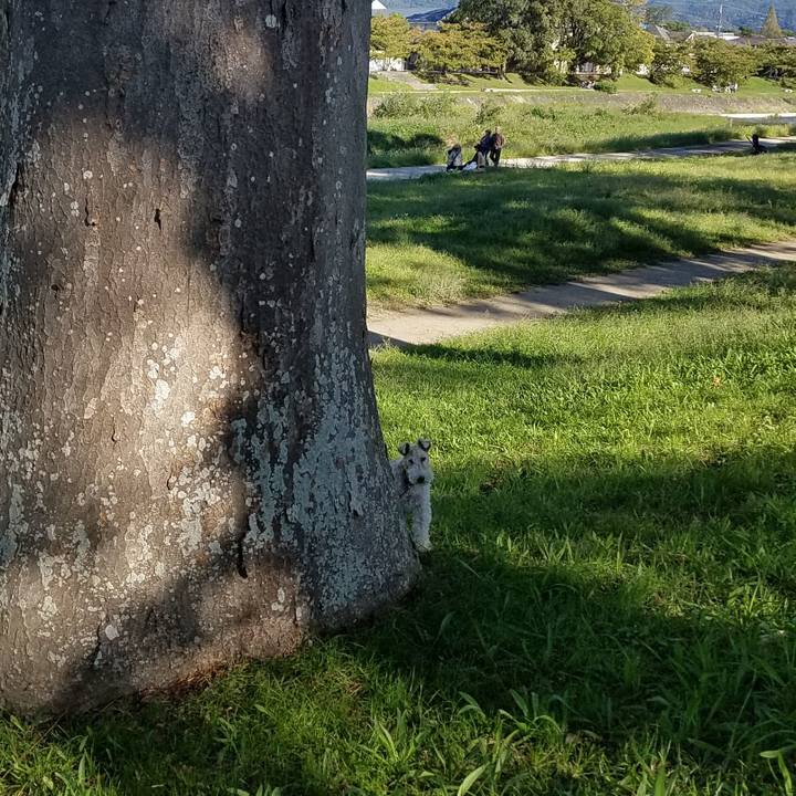 9b28226c f0c5 4b9f bc4e 7c3987d0bbb8 1539010540947