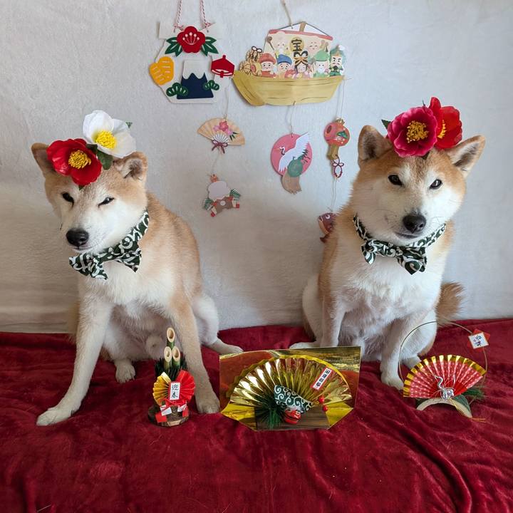 9b28255f a9e5 4e92 86f6 8a28dad6d9ac 1767323177718