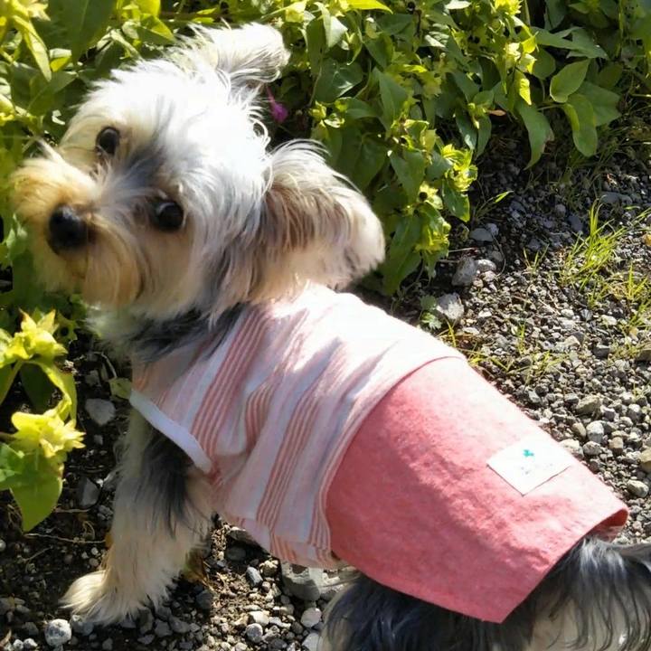 9b2852fb 23ed 42d0 a570 0a4bf295d915 1540610845636