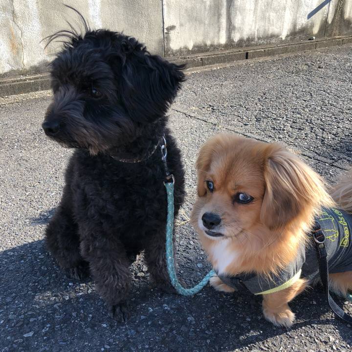 9b28545d dcf2 4829 a138 ee85329825be 1630716516409