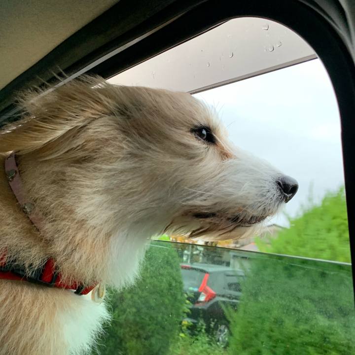 9b2855ae 15ea 4397 a6cd b08d7f70c5db 1605846124404