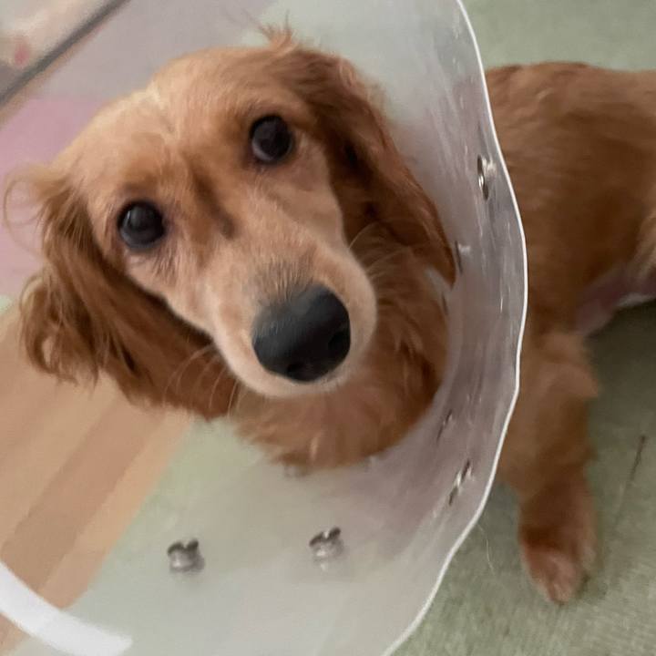 9b2873a3 955c 4d87 8486 35d0cb6d5de1 1687071480740