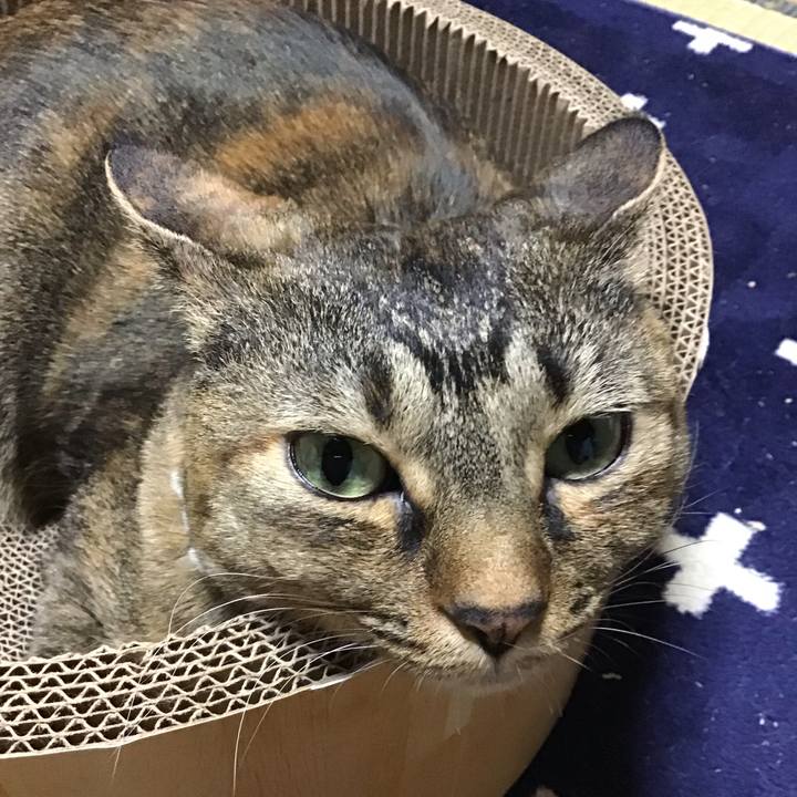 9b28895b 2227 41d5 8c67 ddaafc8ed21b 1737463549566